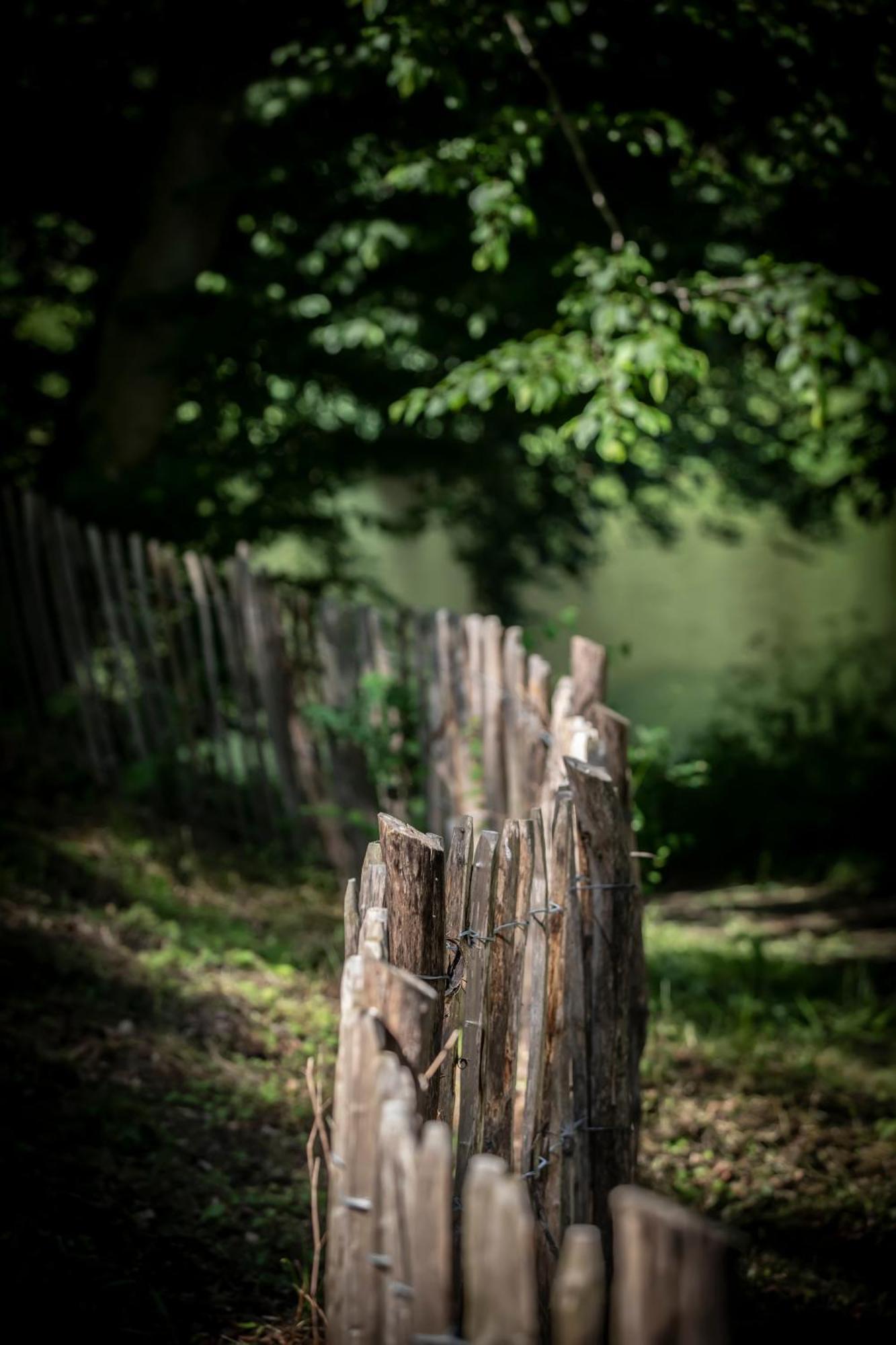 Chateau Du Pont D'Oye Habay-la-Neuve エクステリア 写真